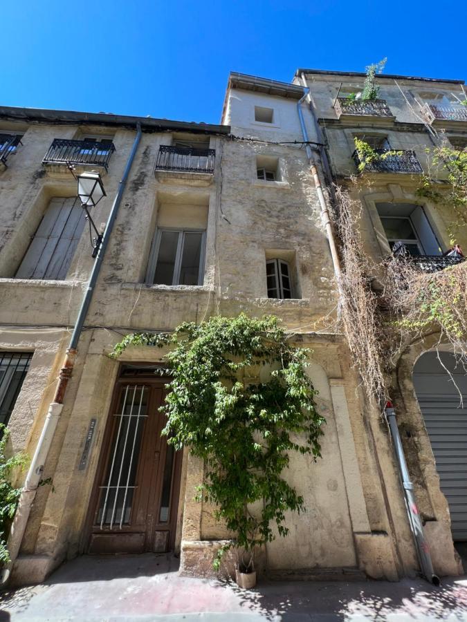 Charmant studio au cœur de l’écusson Montpellier Extérieur photo